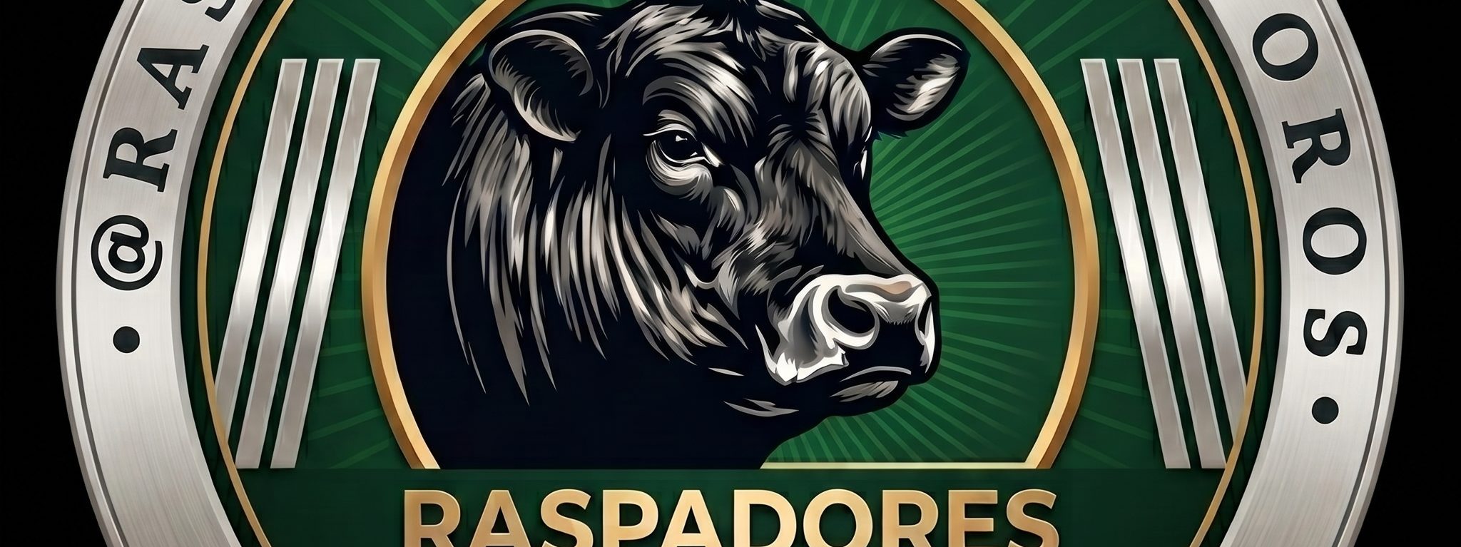 RASPADORES PARA TOROS